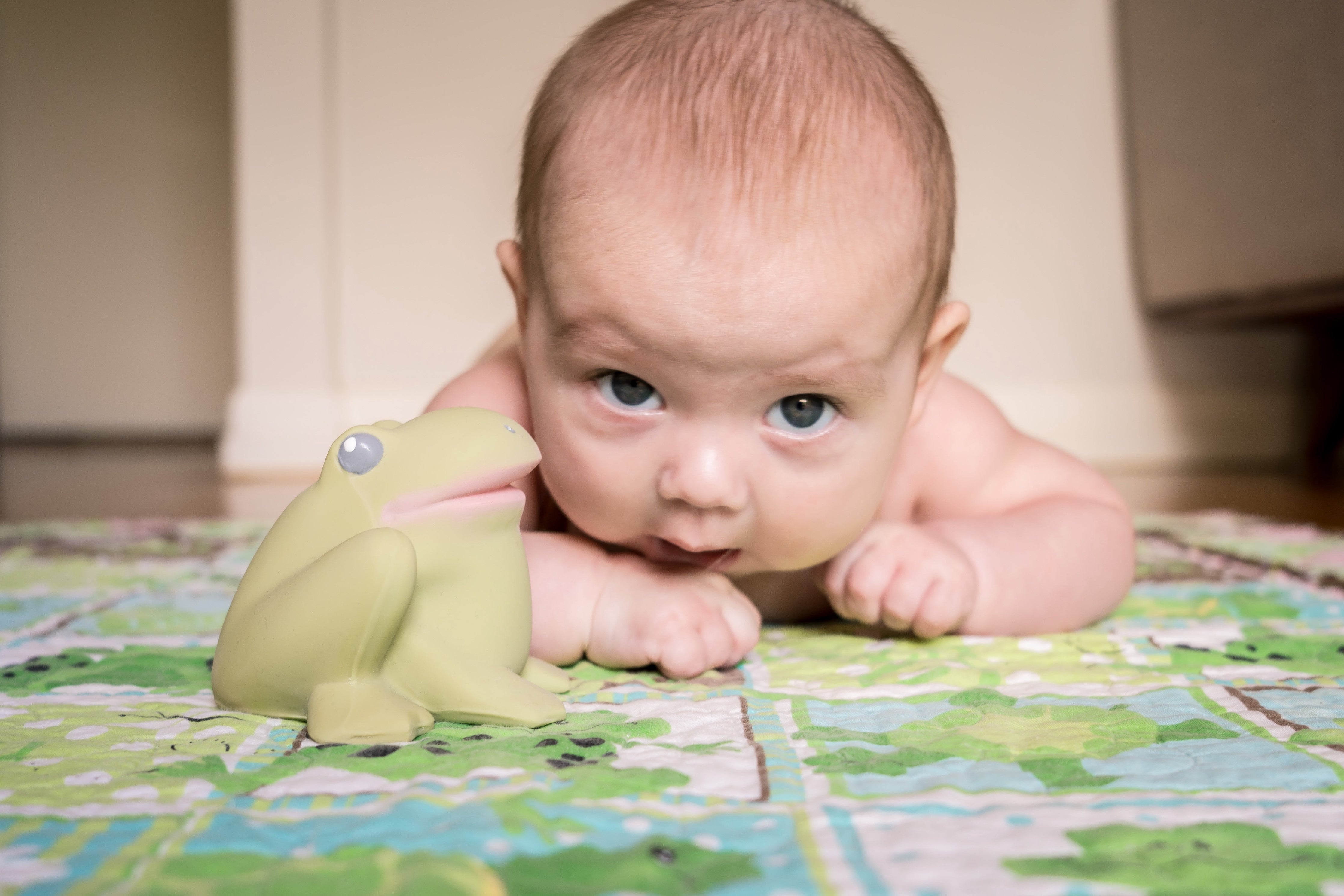 Gemba the Frog Organic Natural Rubber Teether, Rattle & Bath Toy Tikiri Toys   