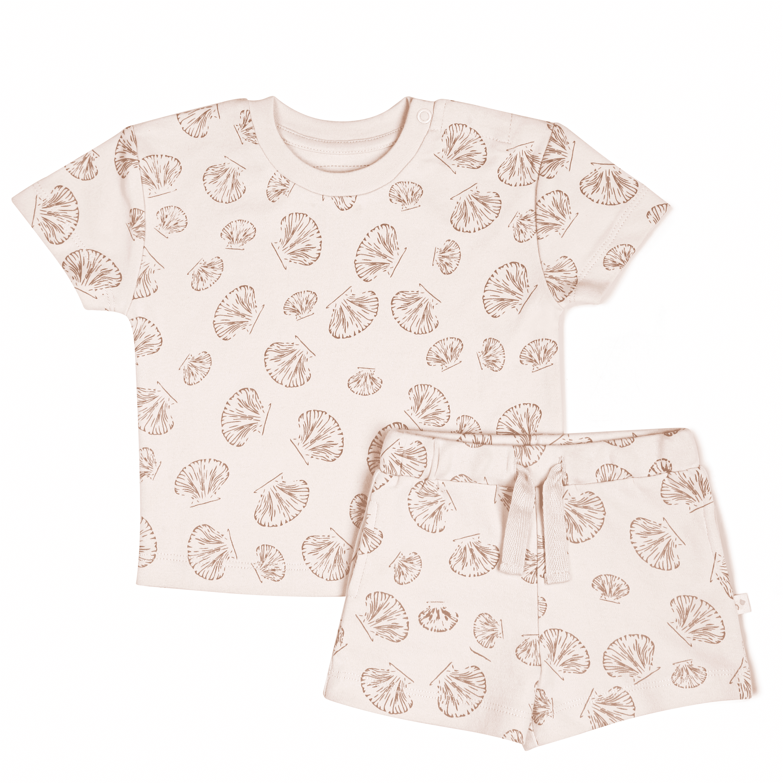 Organic Baby Toddler Tee and Shorts Set - Seashells Makemake Organics   