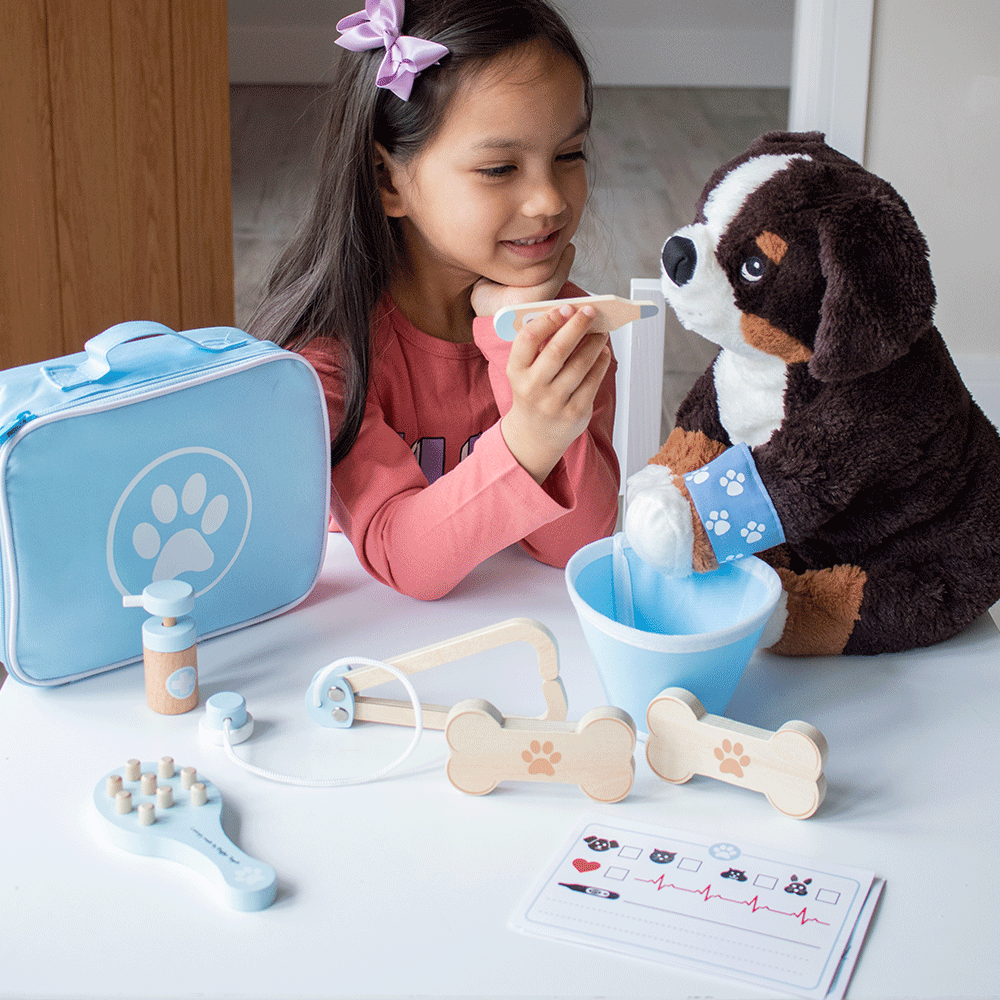 Veterinary Set Bigjigs Toys   