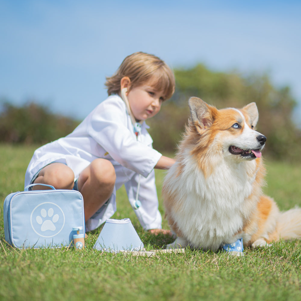 Veterinary Set Bigjigs Toys   