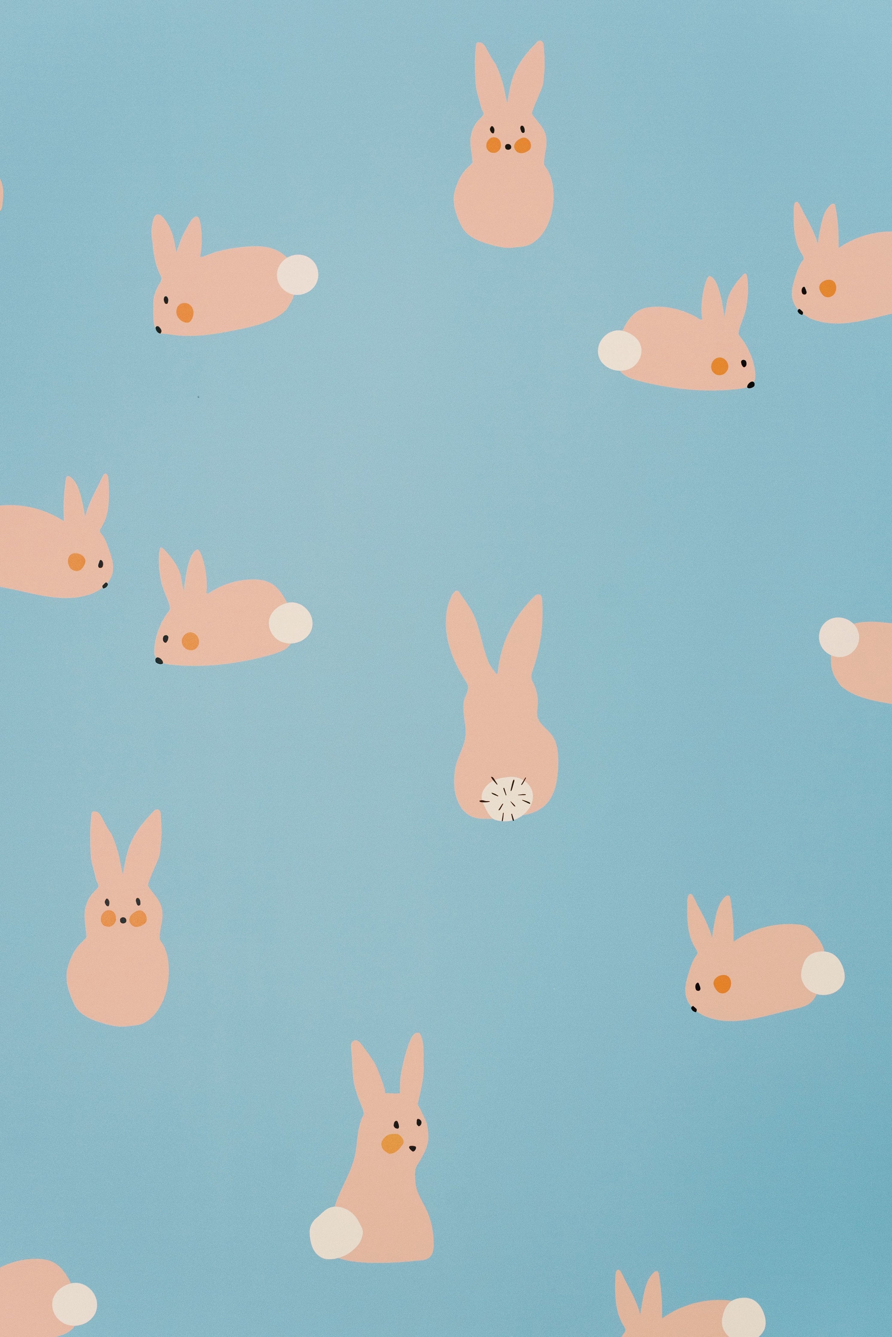 Cottontail Wallpaper Anewall   