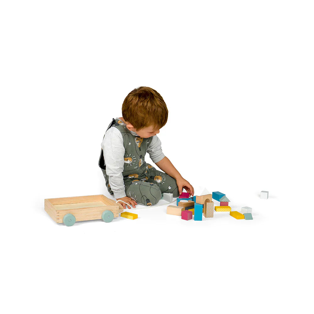 FSC® Certified Brick Cart Bigjigs Toys   