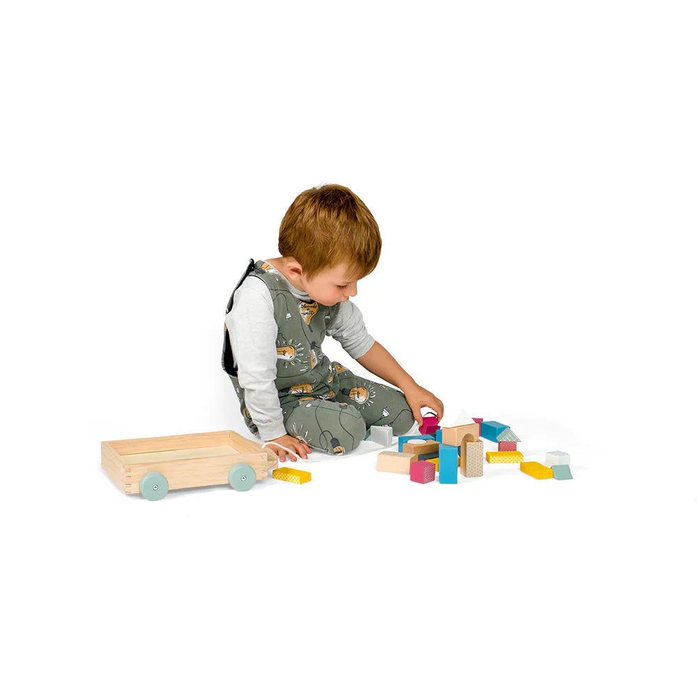 FSC® Certified Brick Cart Bigjigs Toys   