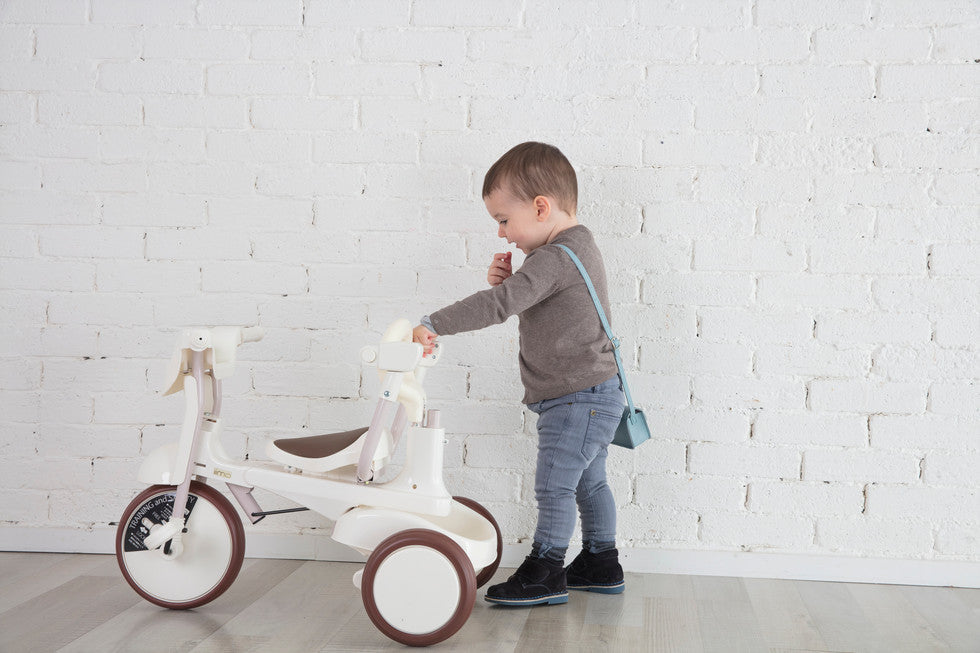 Iimo 3-in-1 Foldable Tricycle With Canopy iimo   