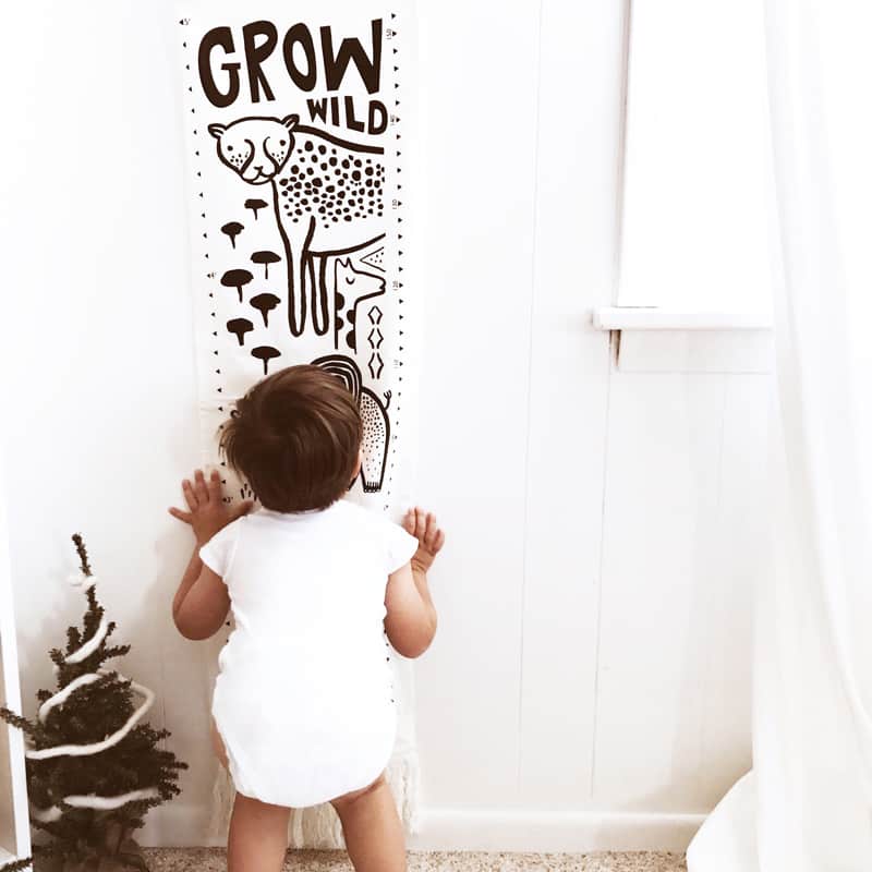 Canvas Growth Chart - Safari Wee Gallery   