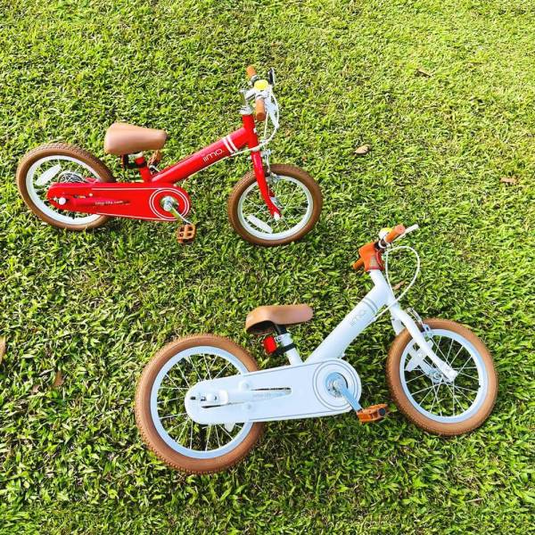 Iimo 2-in-1 Balance Bike 14" (Balance Bike to Pedal Bike) iimo   