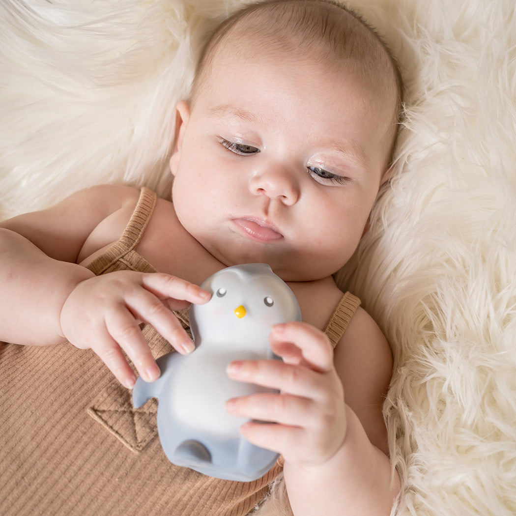 My First Arctic Penguin Organic Teether, Rattle & Bath Toy Tikiri Toys   