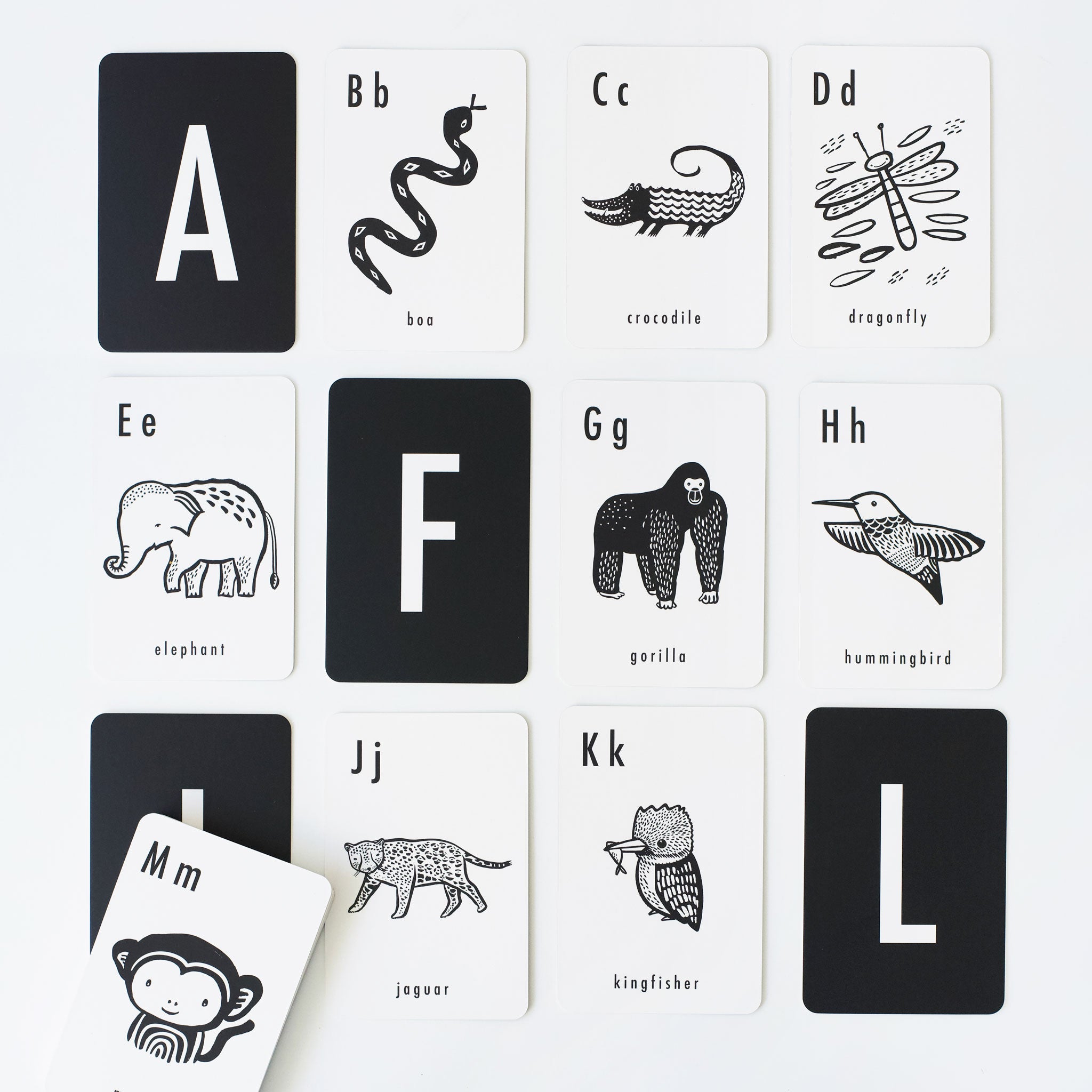 Jungle Alphabet Cards Wee Gallery   