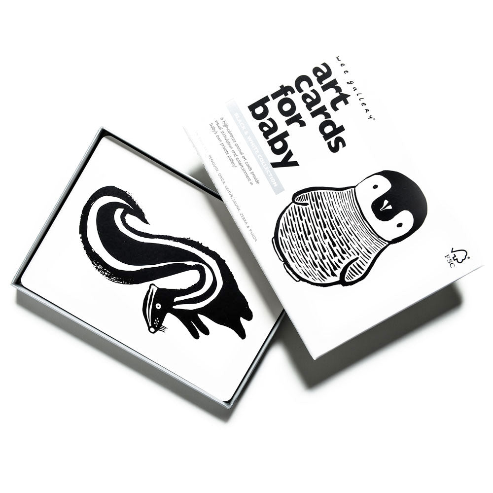 Art Cards for Baby - Black and White Collection Wee Gallery   