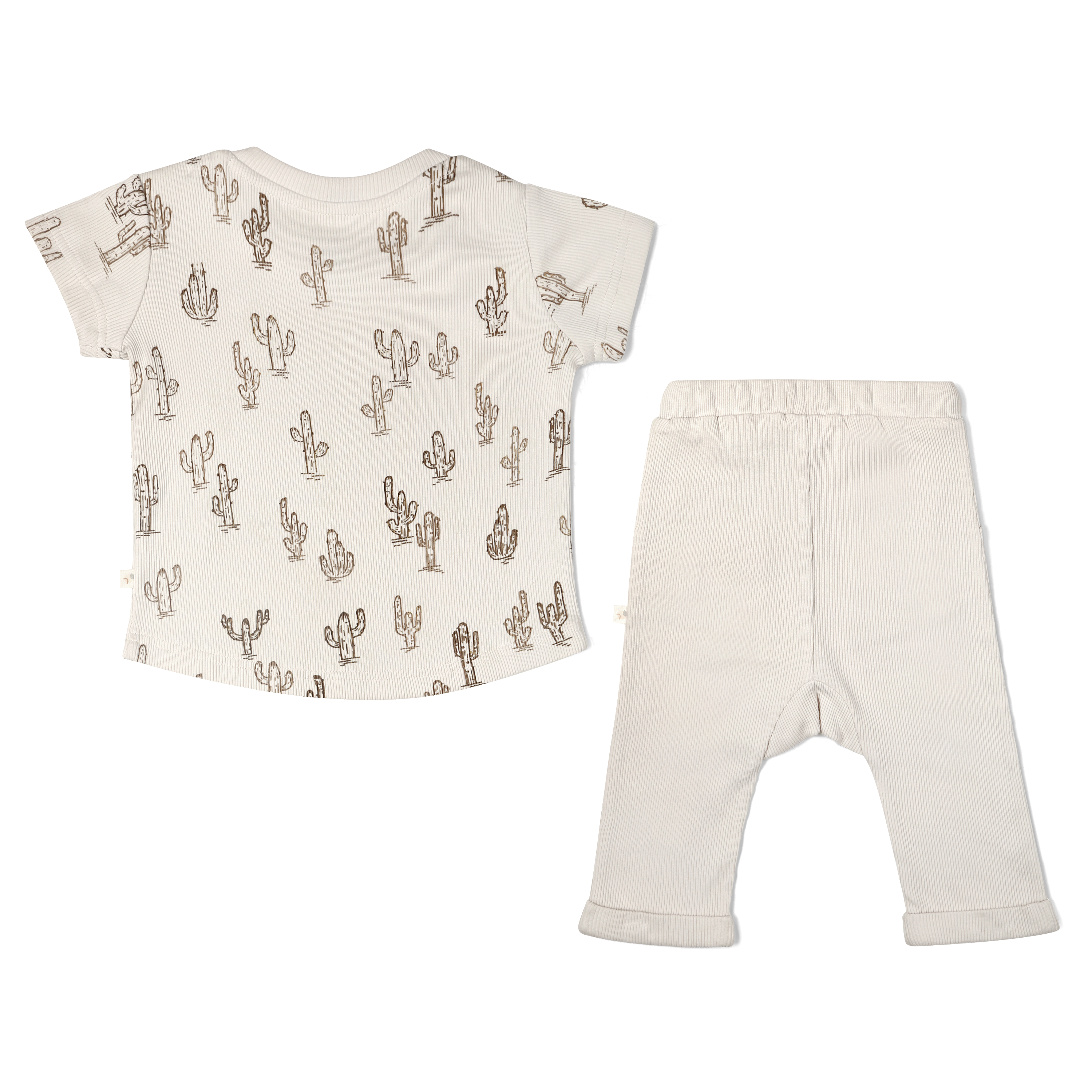 Organic Toddler T-Shirt & Pant Set - Cactus Makemake Organics   