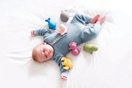 Dolphin Organic Natural Rubber Rattle, Teether & Bath Toy Tikiri Toys   