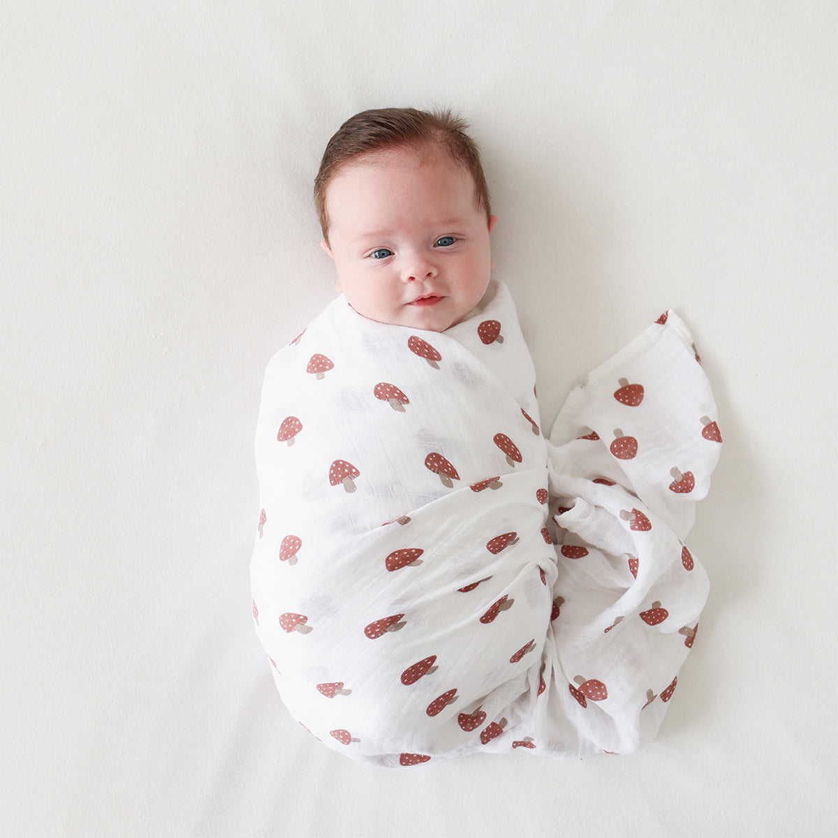 Cotton Swaddle 2 Pack Lulujo   