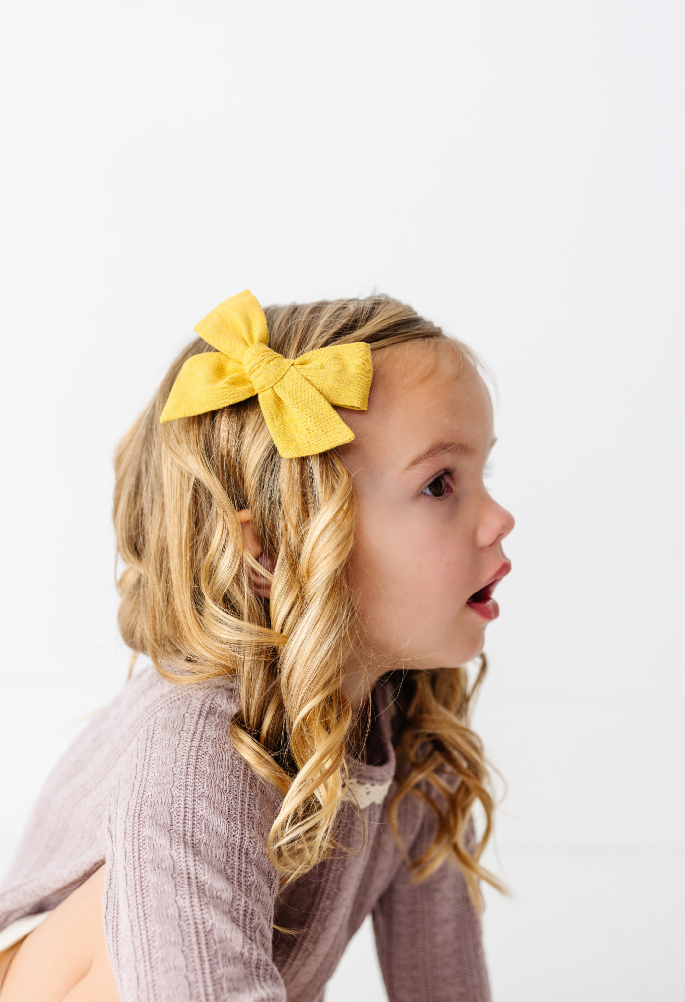 The Savannah Bow Clip Set Little Poppy Co.   