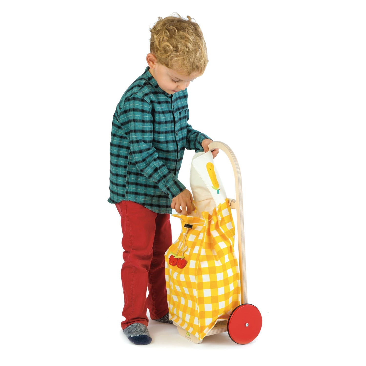 Pull Along Shopping Trolley Tender Leaf Toys   