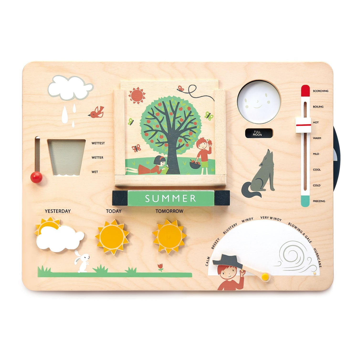 Weather Watch Tender Leaf Toys   