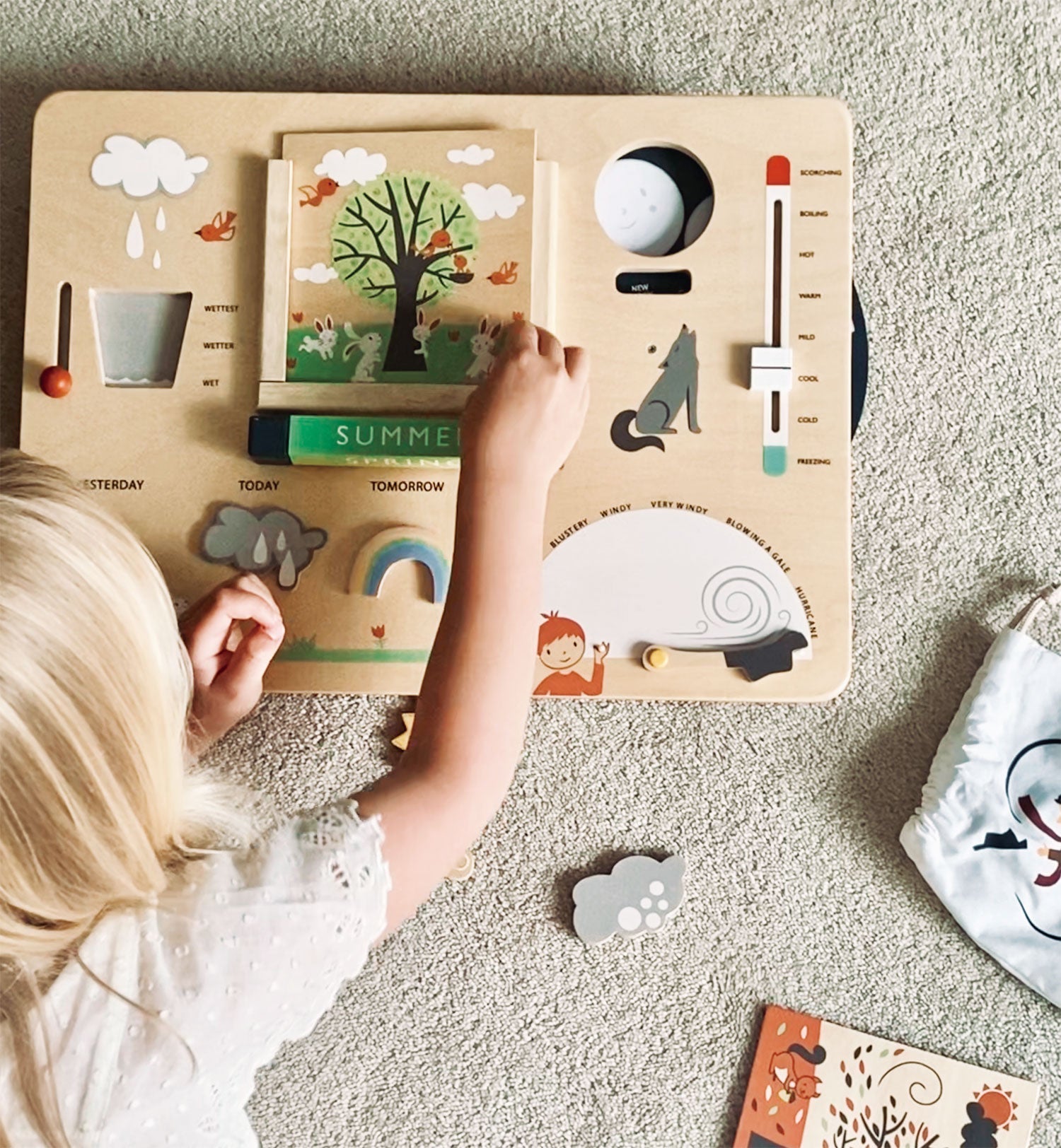 Weather Watch Tender Leaf Toys   