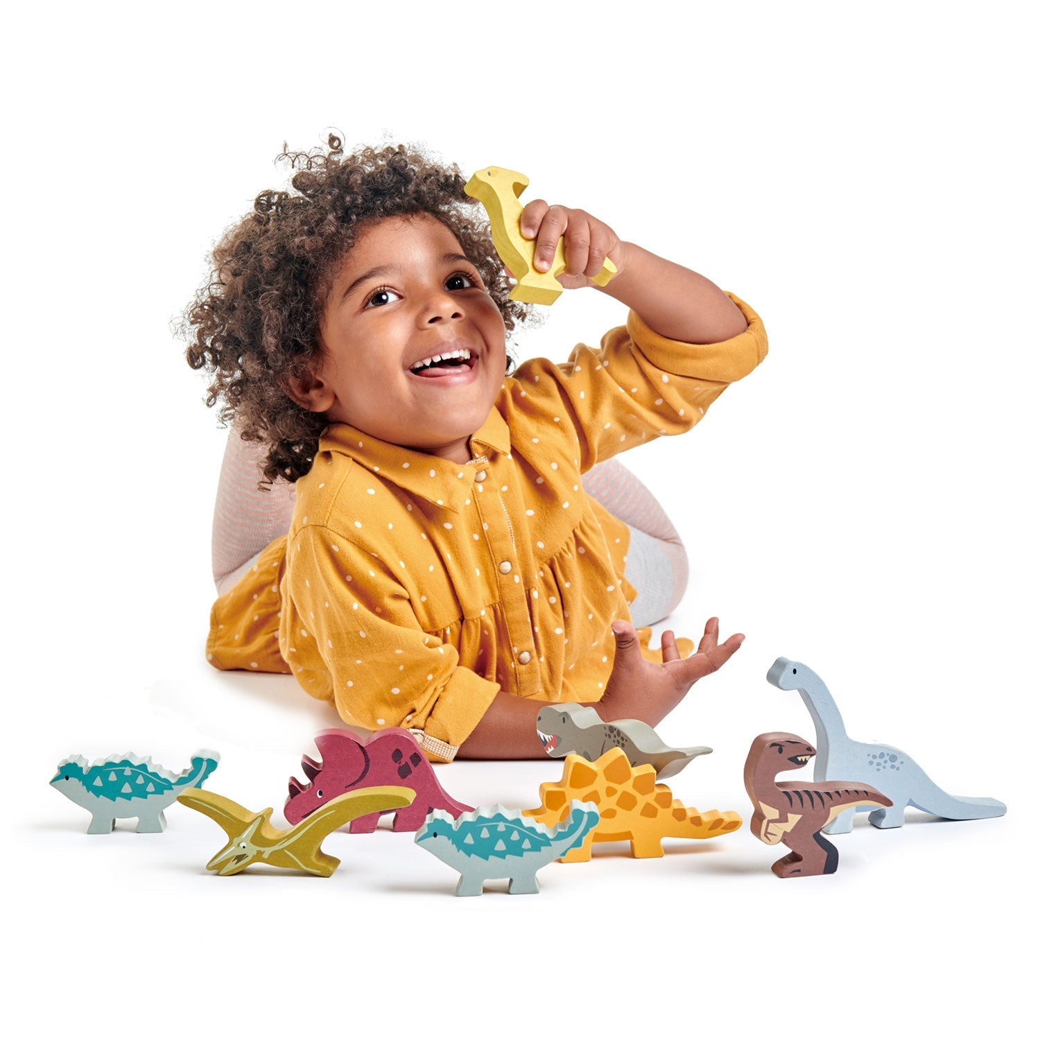 Dinosaurs Tender Leaf Toys   