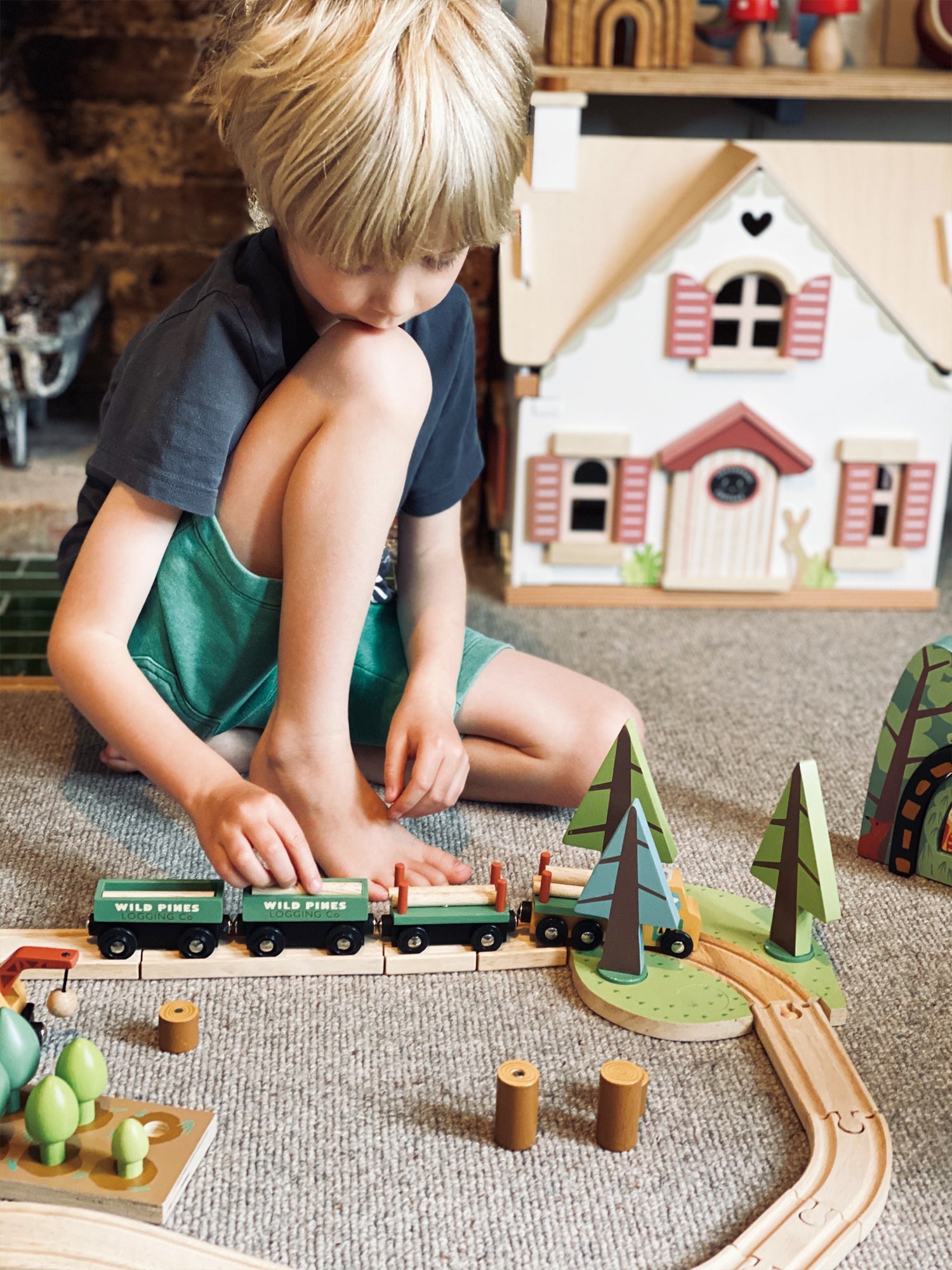 Wild Pines Train Set Tender Leaf Toys   