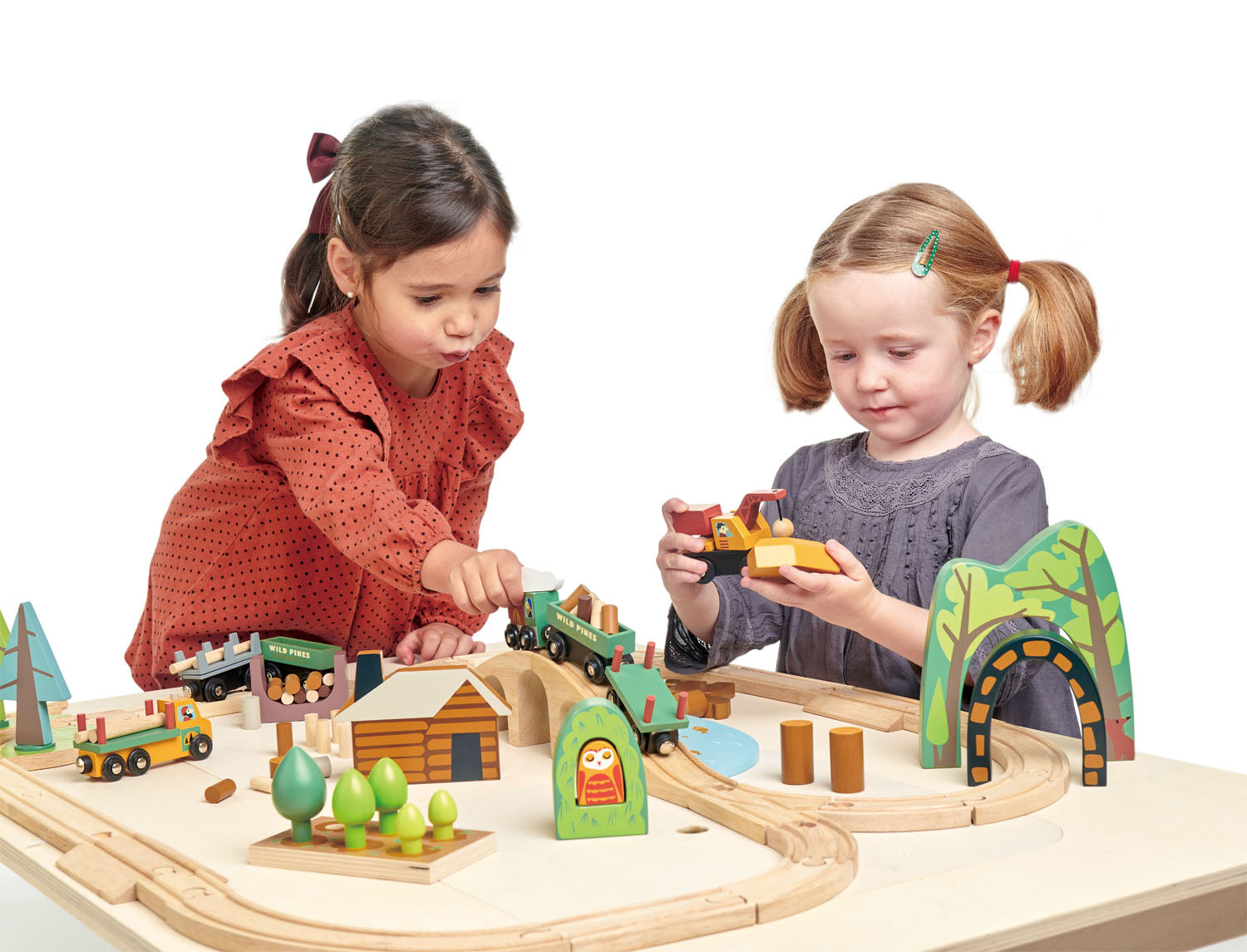 Wild Pines Train Set Tender Leaf Toys   