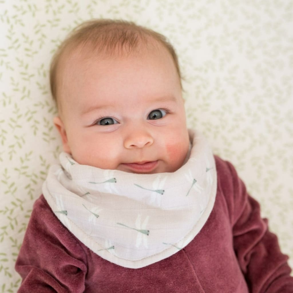 Bandana Bibs Lulujo   