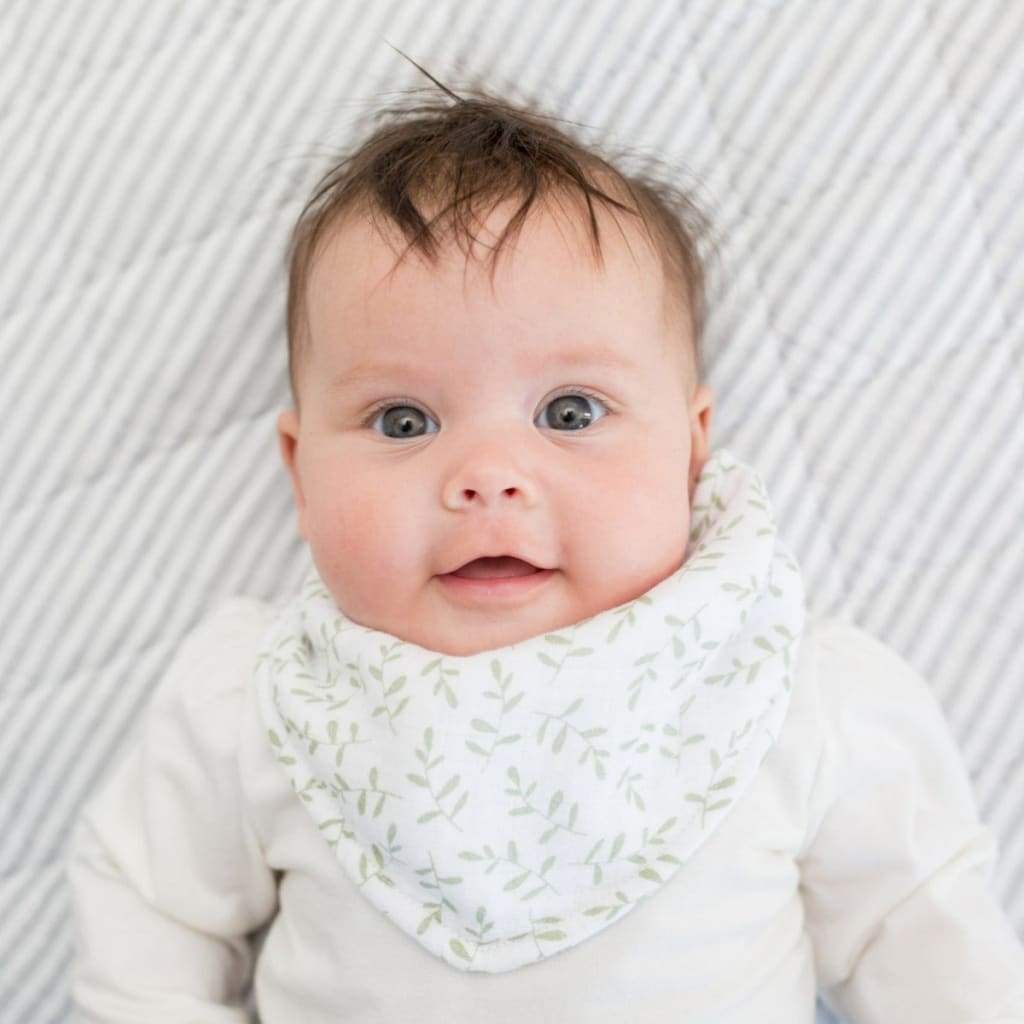 Bandana Bibs Lulujo   