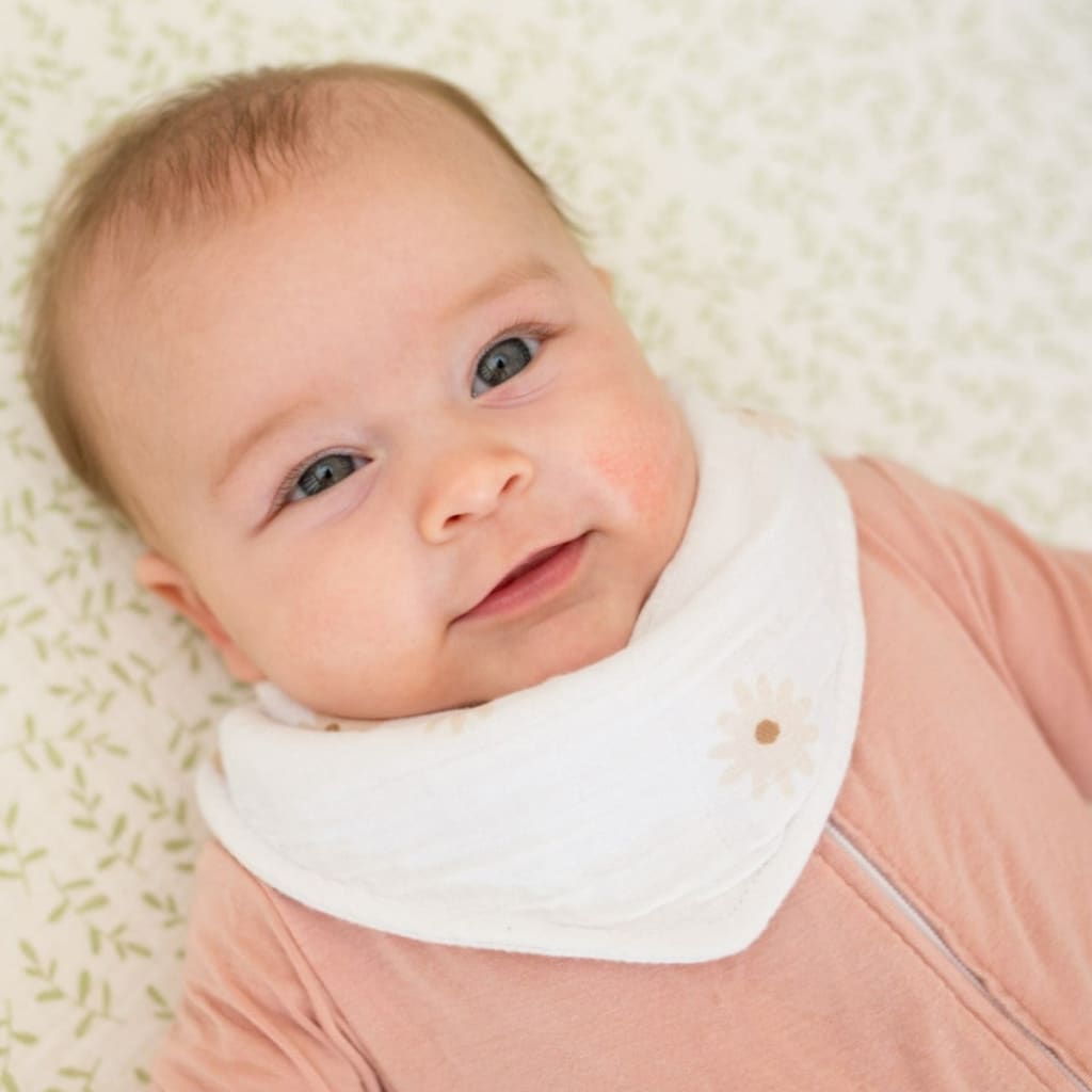 Bandana Bibs Lulujo   