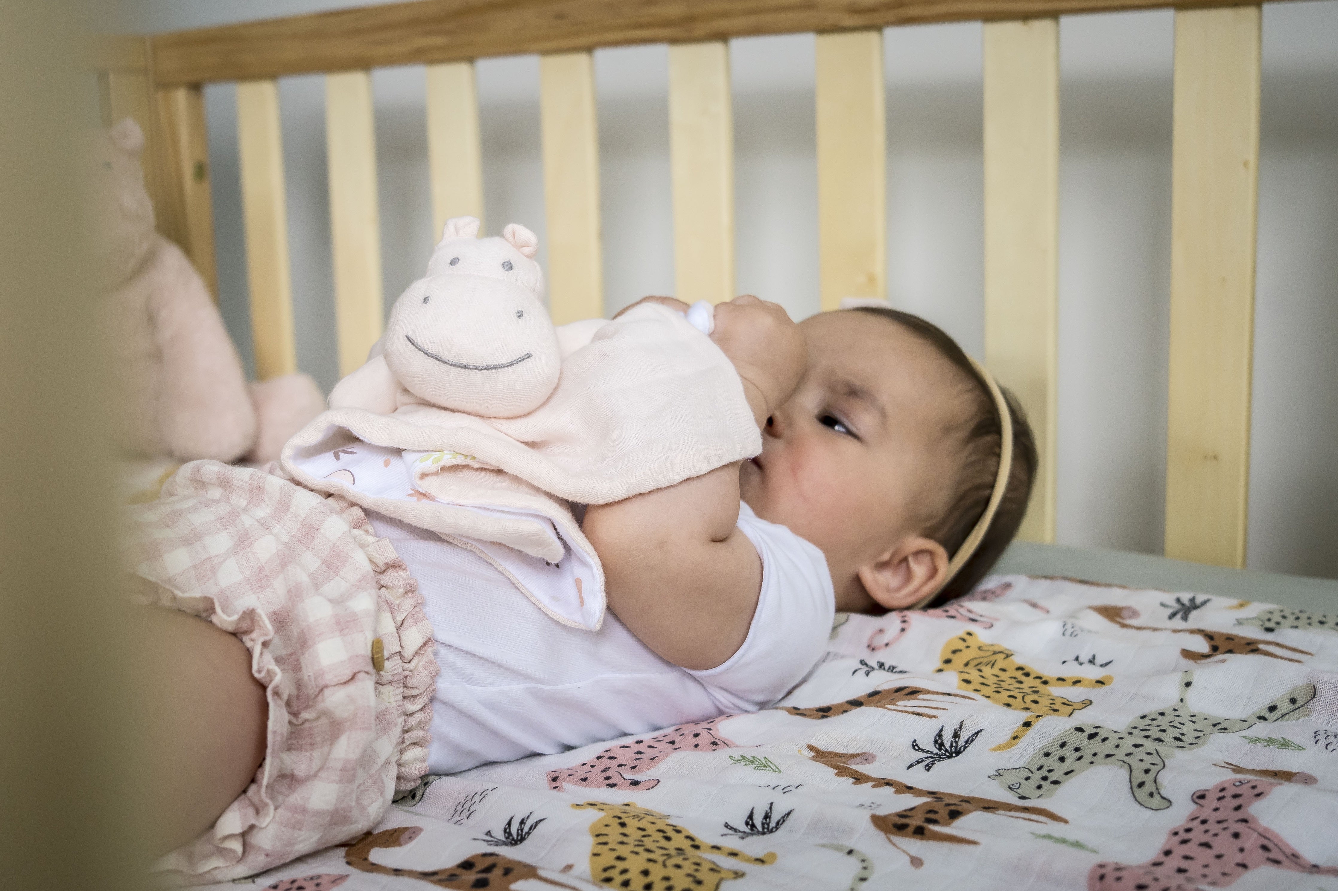 Hippo Comforter With Rubber Teether Tikiri Toys   