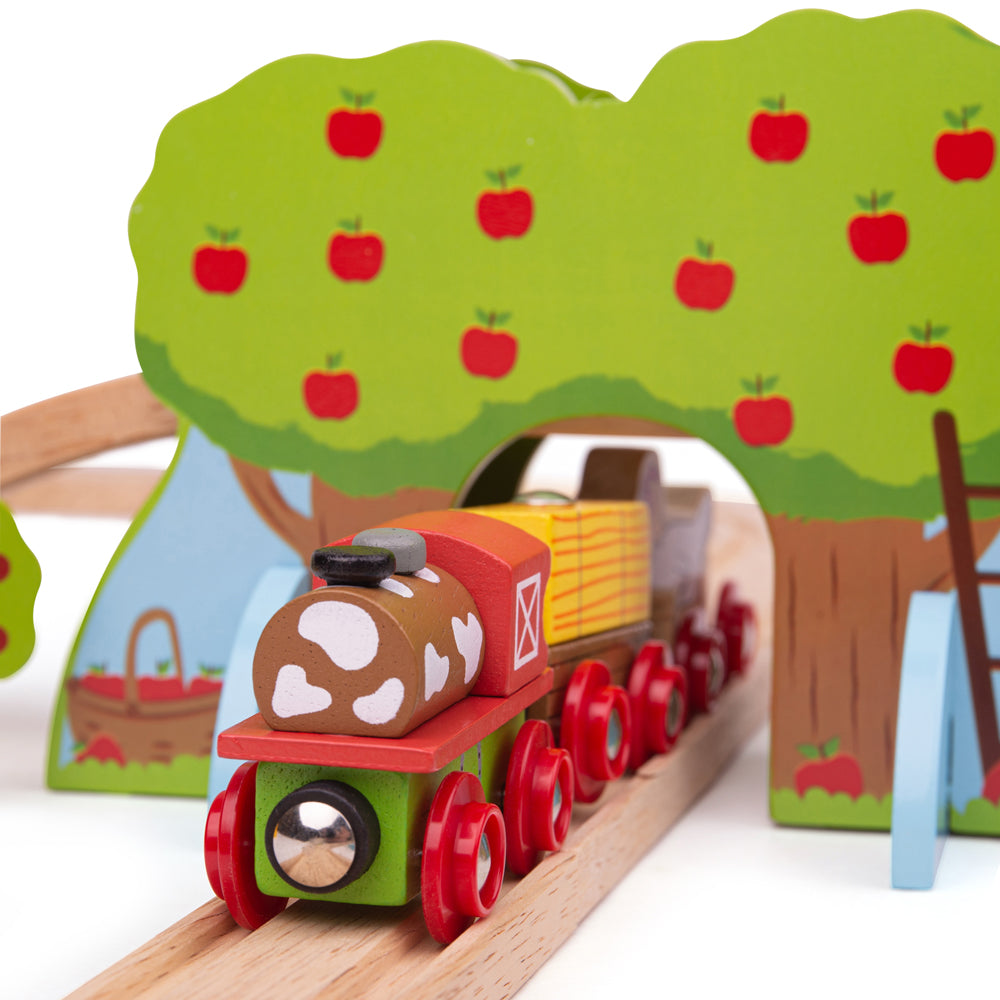 Farm Train Set Bigjigs Toys   