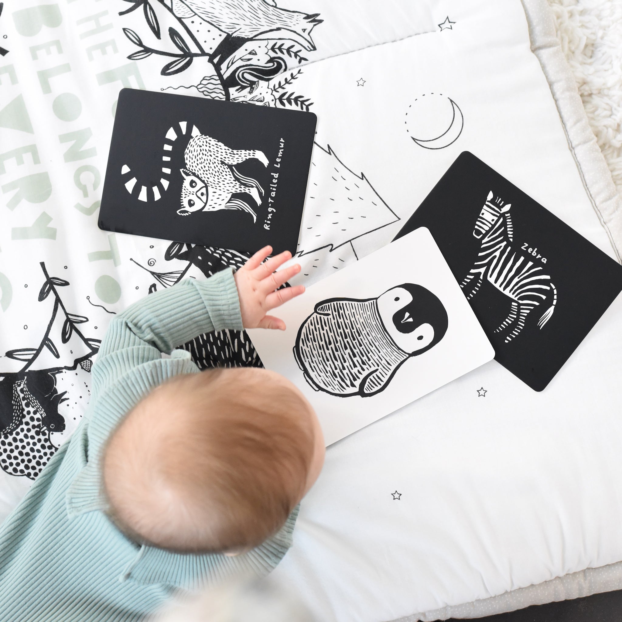 Art Cards for Baby - Black and White Collection Wee Gallery   