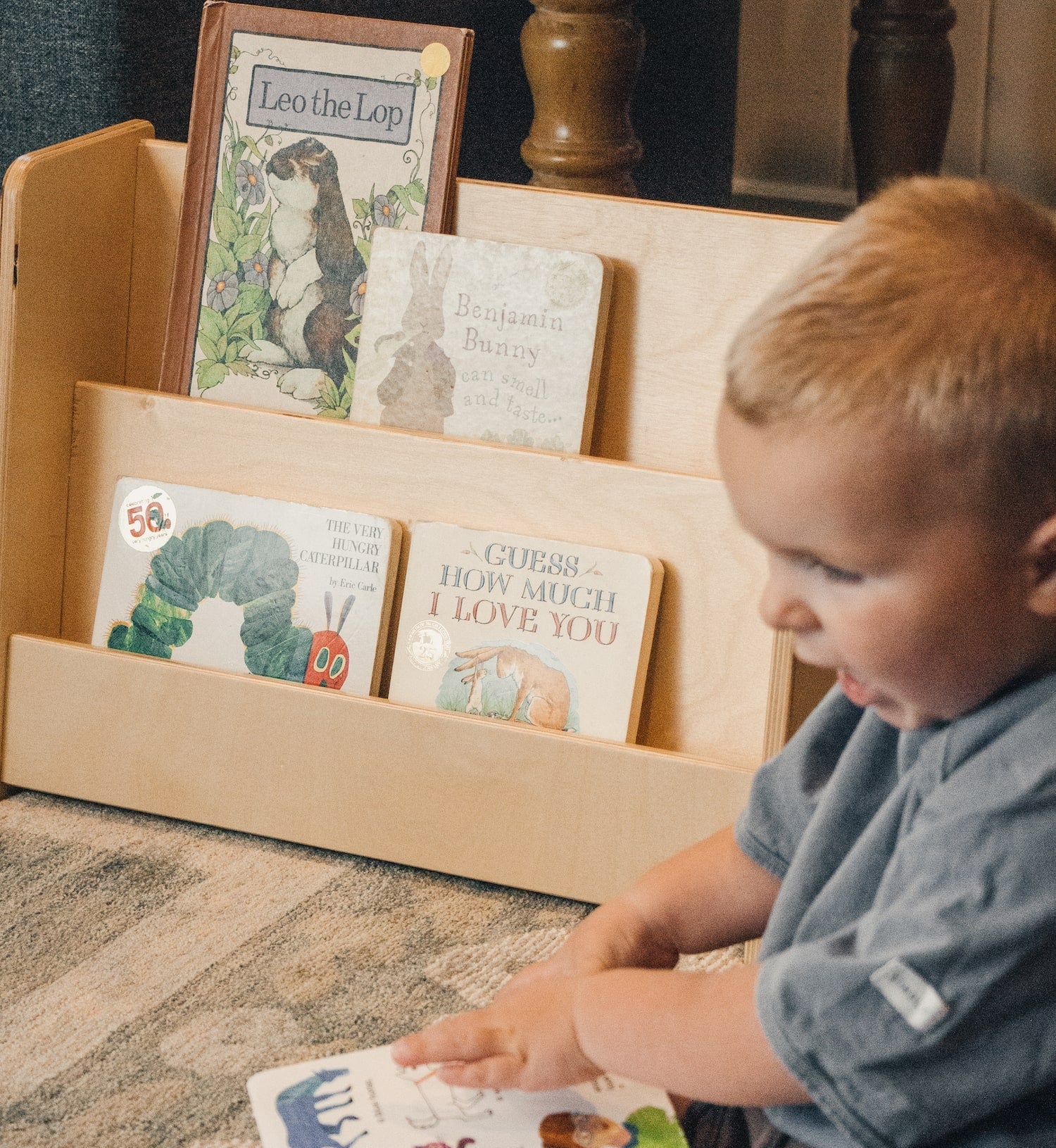 Book Nook All Circles   