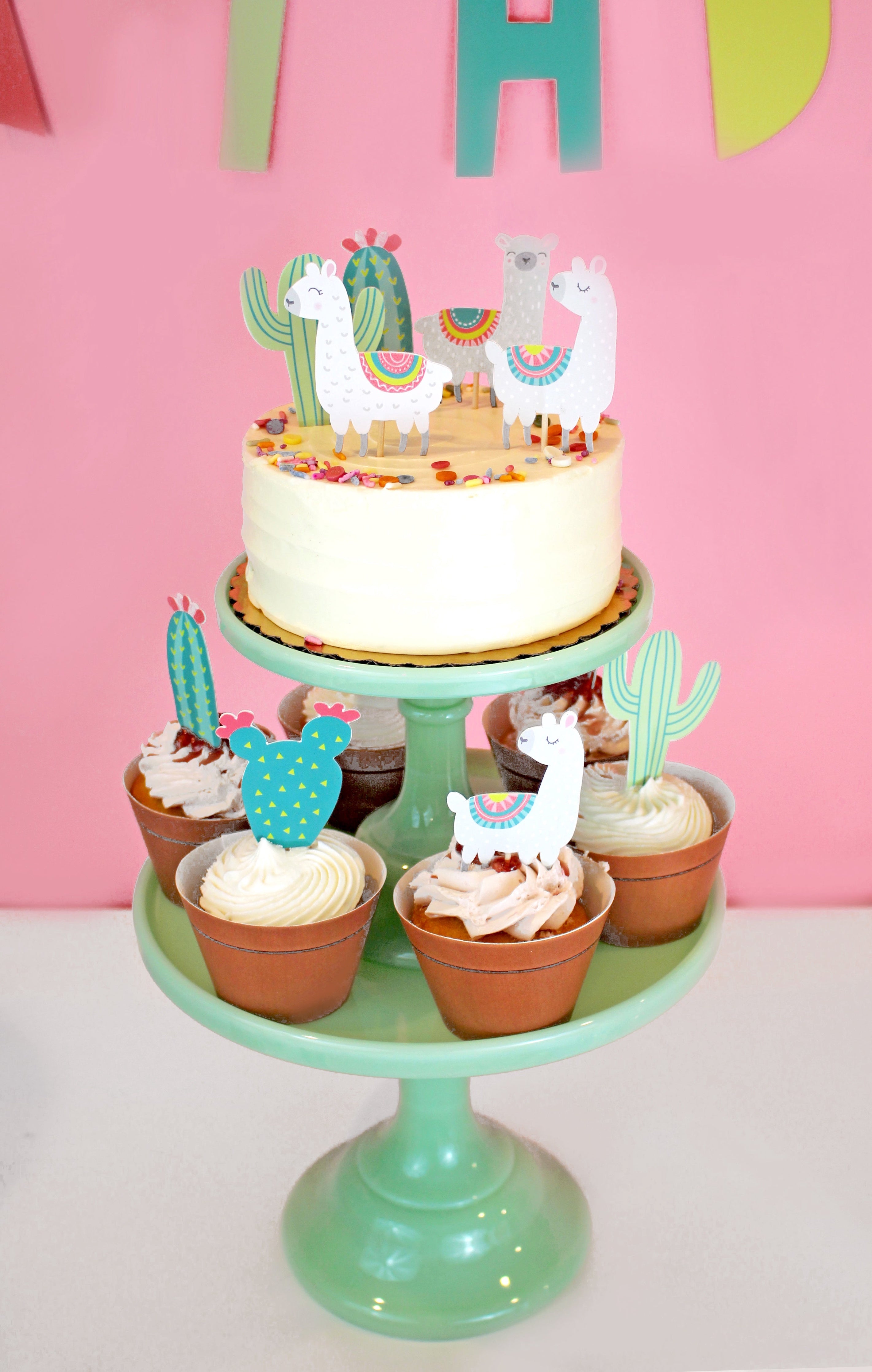 Llama and Cactus Party - Birthday Party Decoration Kit - 12 Guests Merrilulu   