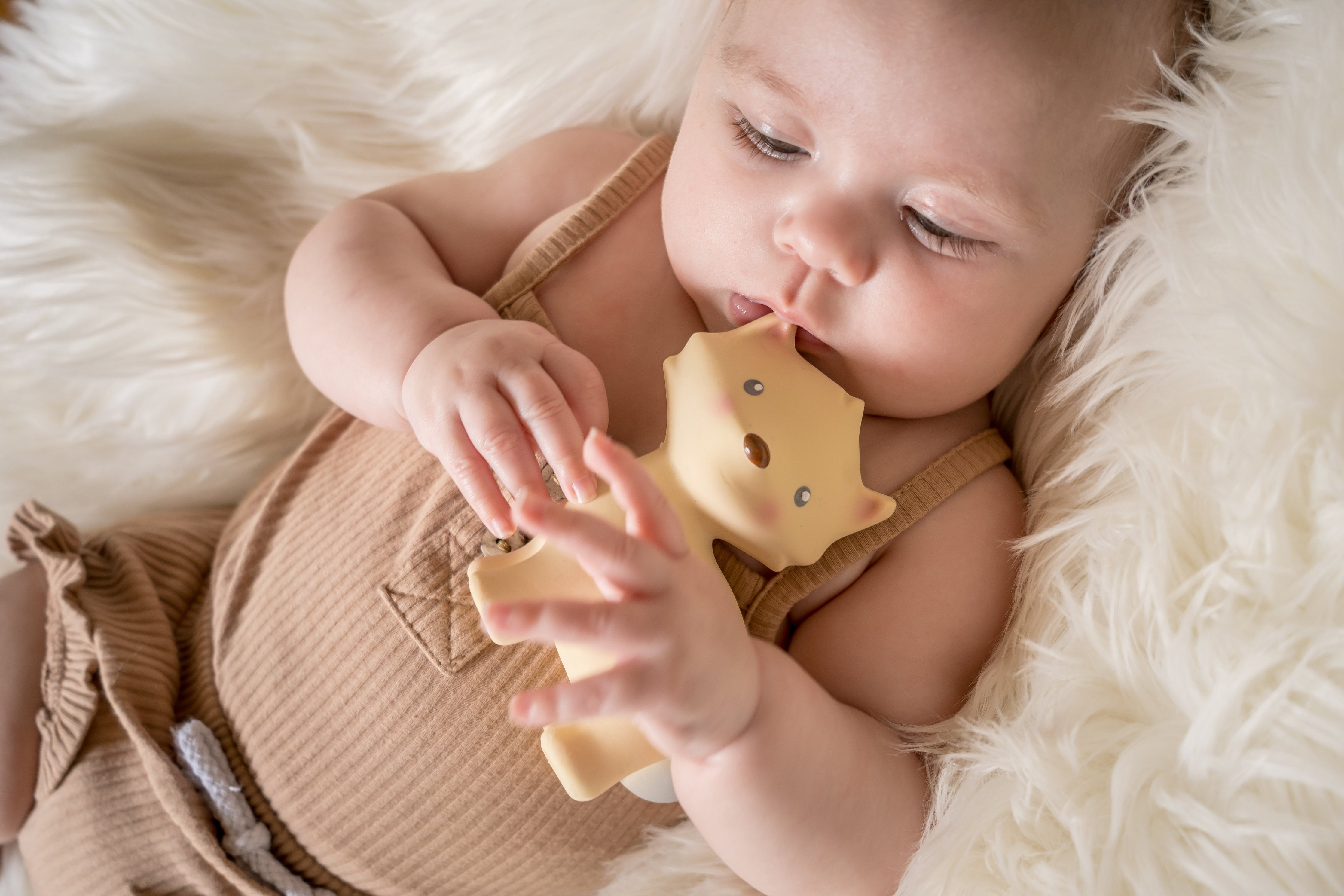 My First Arctic Fox Organic Natural Rubber Teether, Baby Rattle & Bath Toy Tikiri Toys   