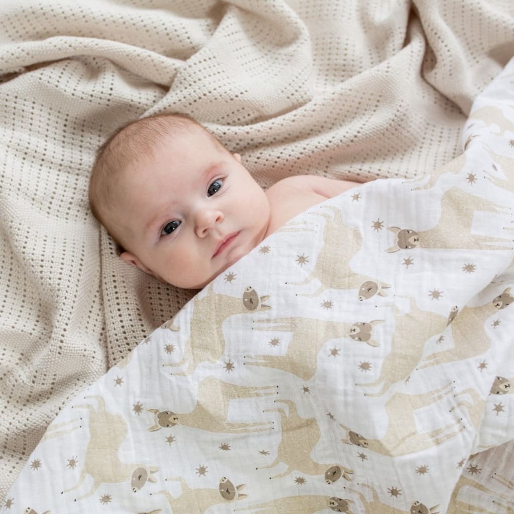 Cotton Muslin Swaddle Lulujo   