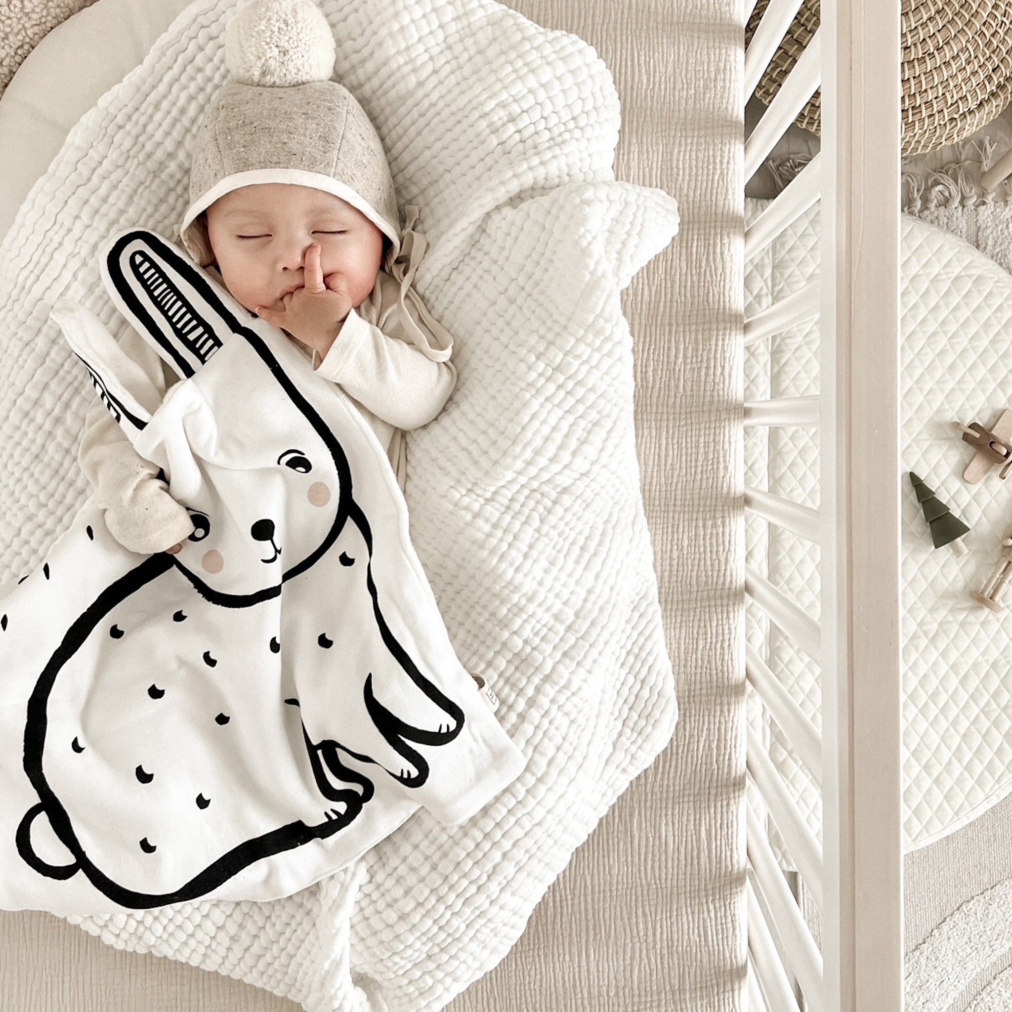 Organic Snuggle Blanket - Bunny Alaska   