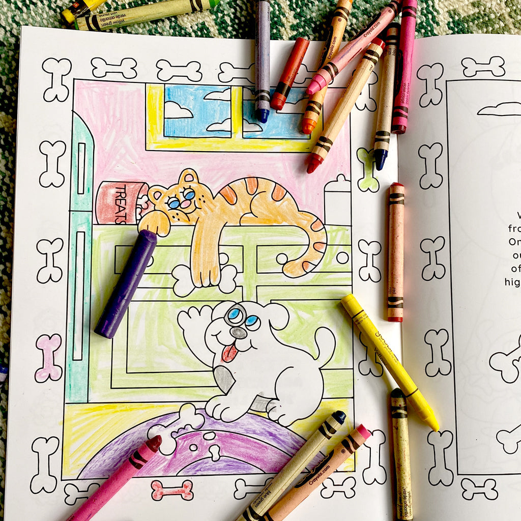 PALS COLORING BOOKS + MYSTERY SOCKS BUNDLE Pals Socks   