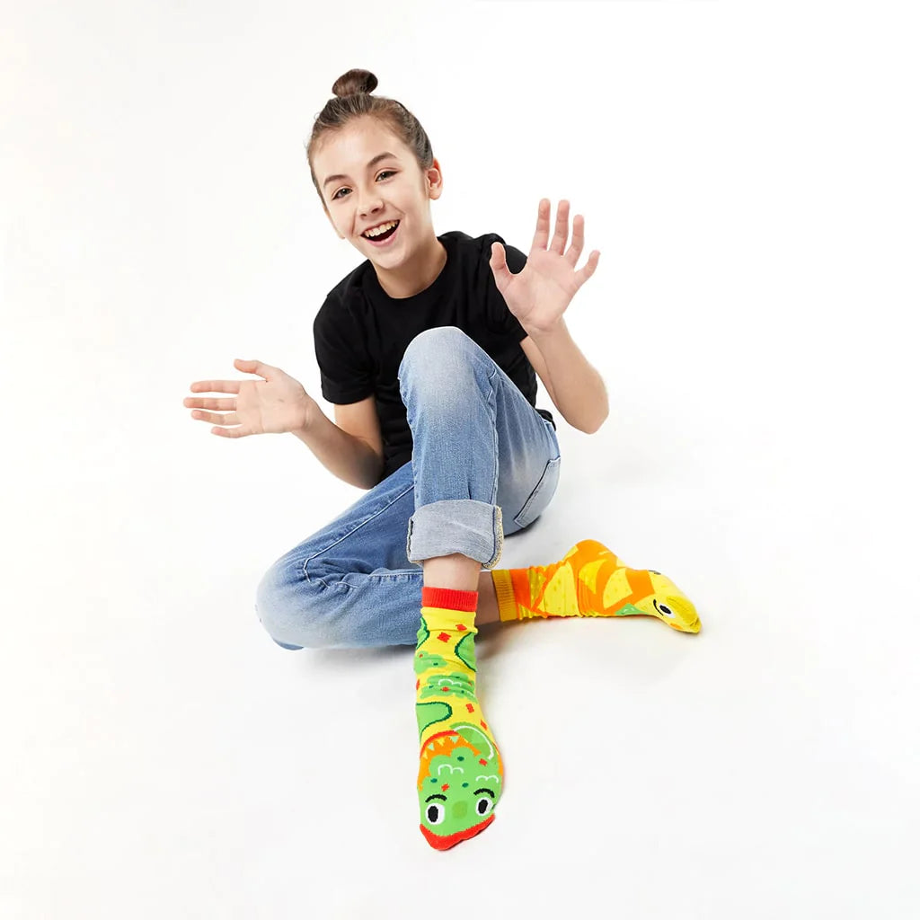 TASTE BUDS SOCKS GIFT BUNDLE Pals Socks   