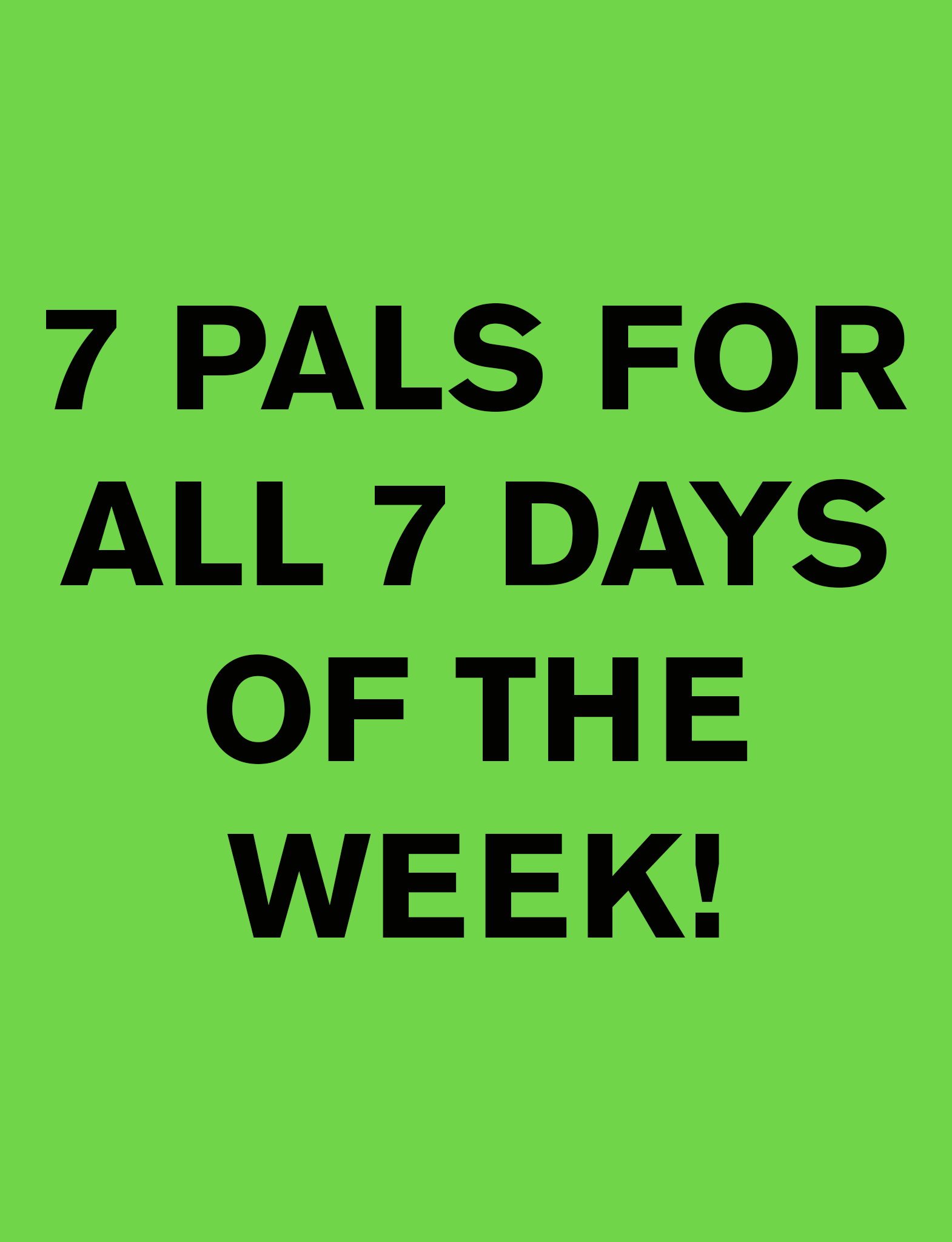 PALS for EVERY DAY of the WEEK BUNDLE Pals Socks   