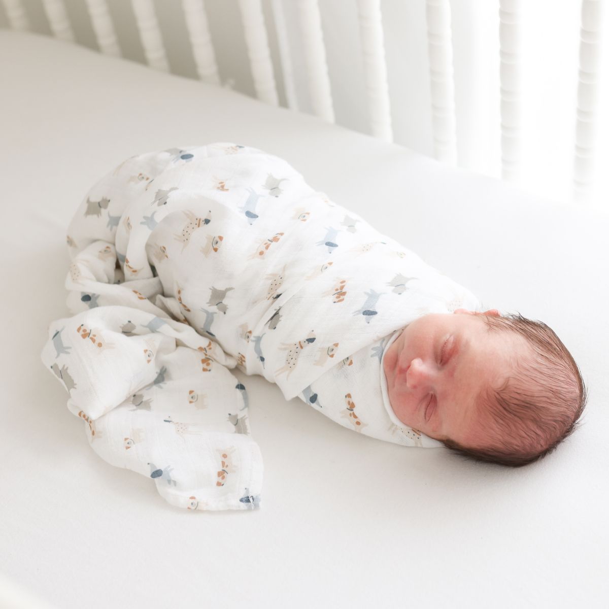 Cotton Swaddle 2 Pack Lulujo   