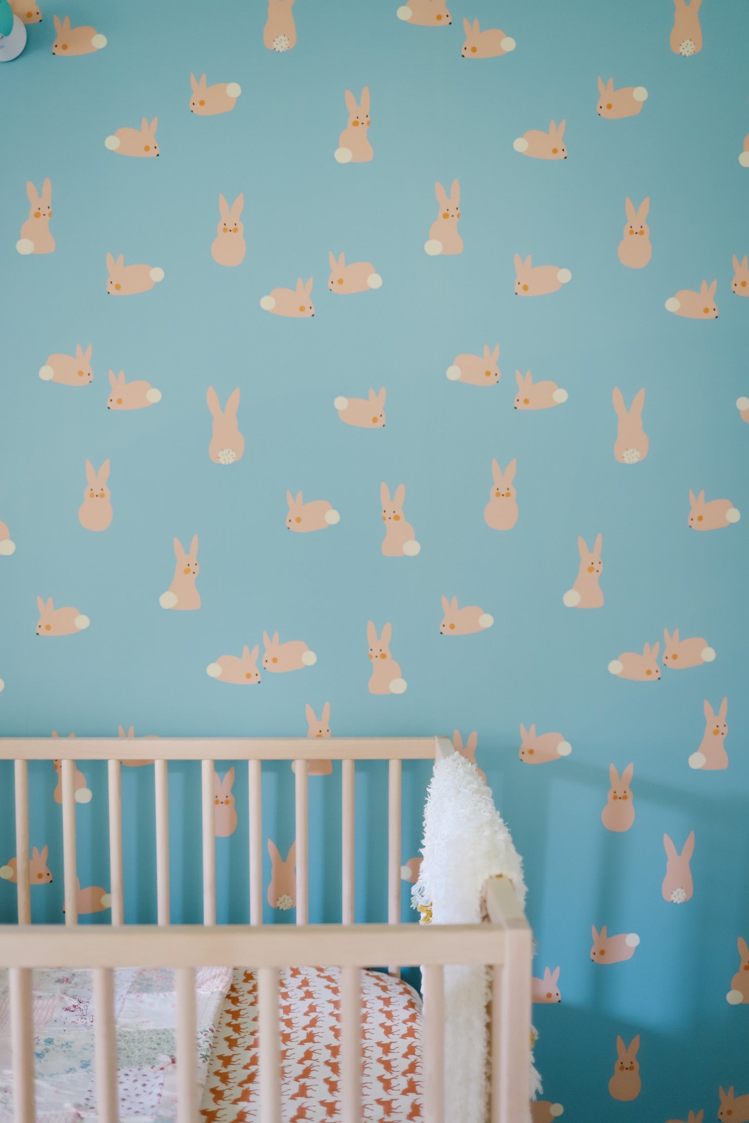 Cottontail Wallpaper Anewall   