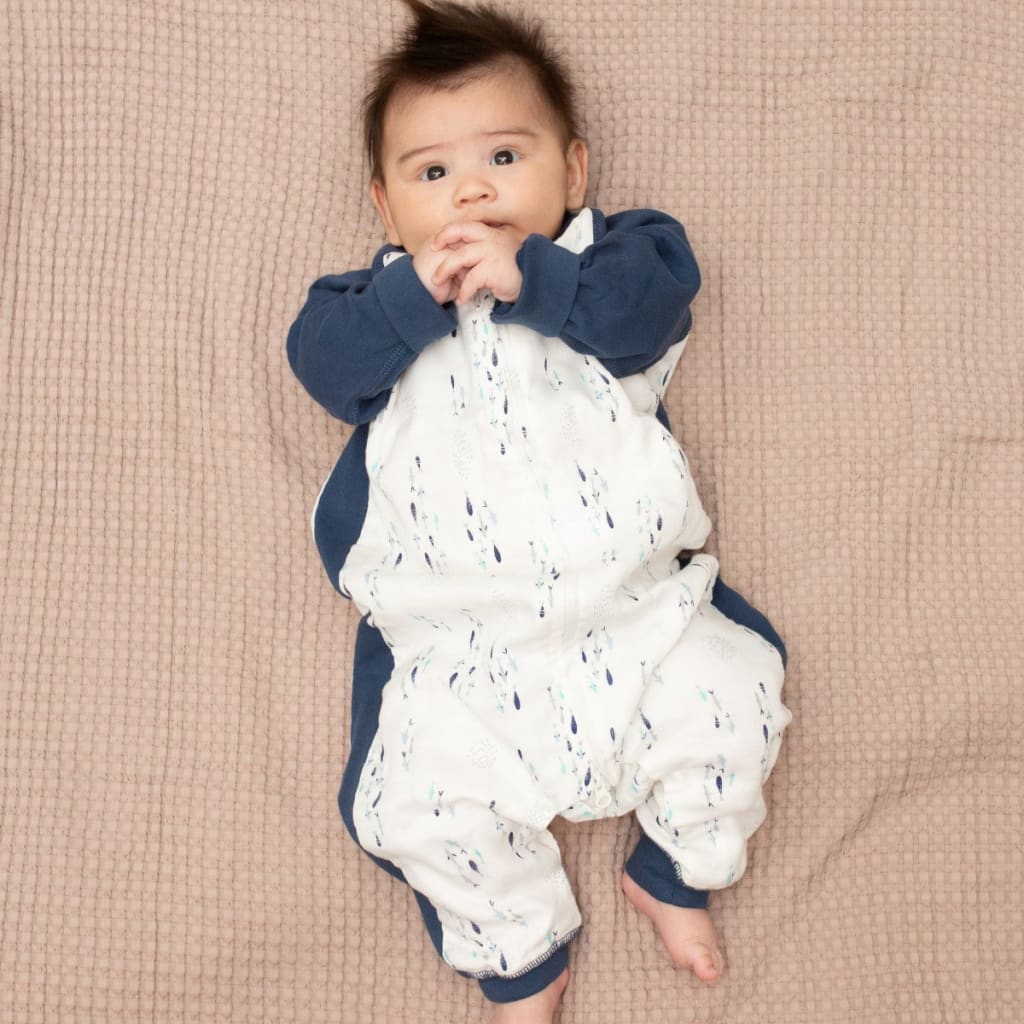 Sleep Suit 1.0 TOG Lulujo   