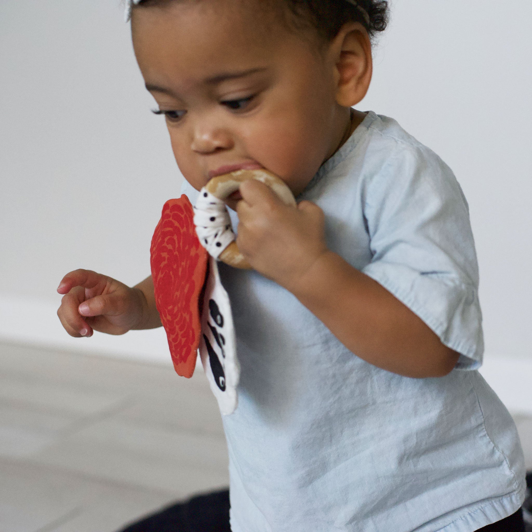 Crinkle Teether - Butterfly Wee Gallery   