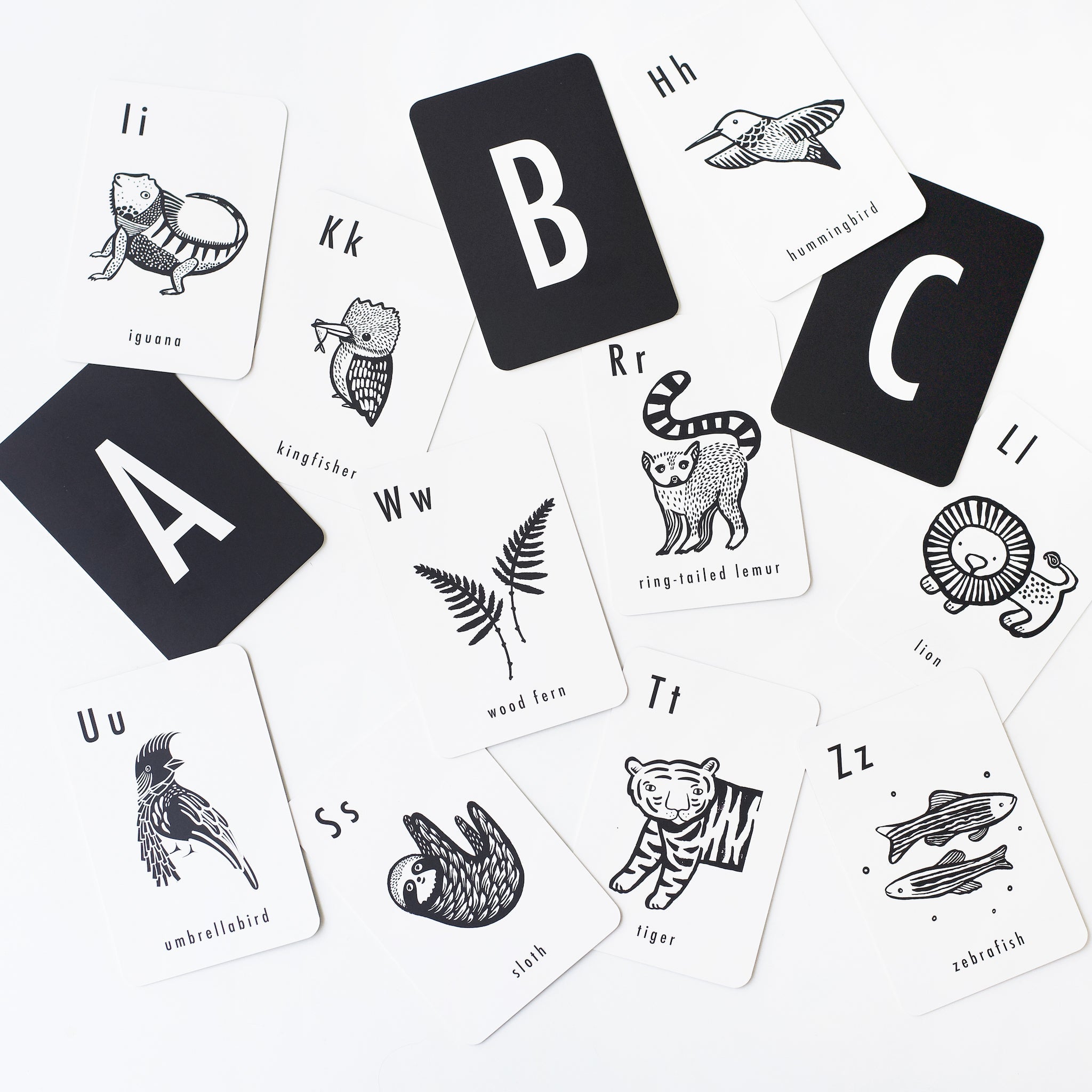 Jungle Alphabet Cards Wee Gallery   