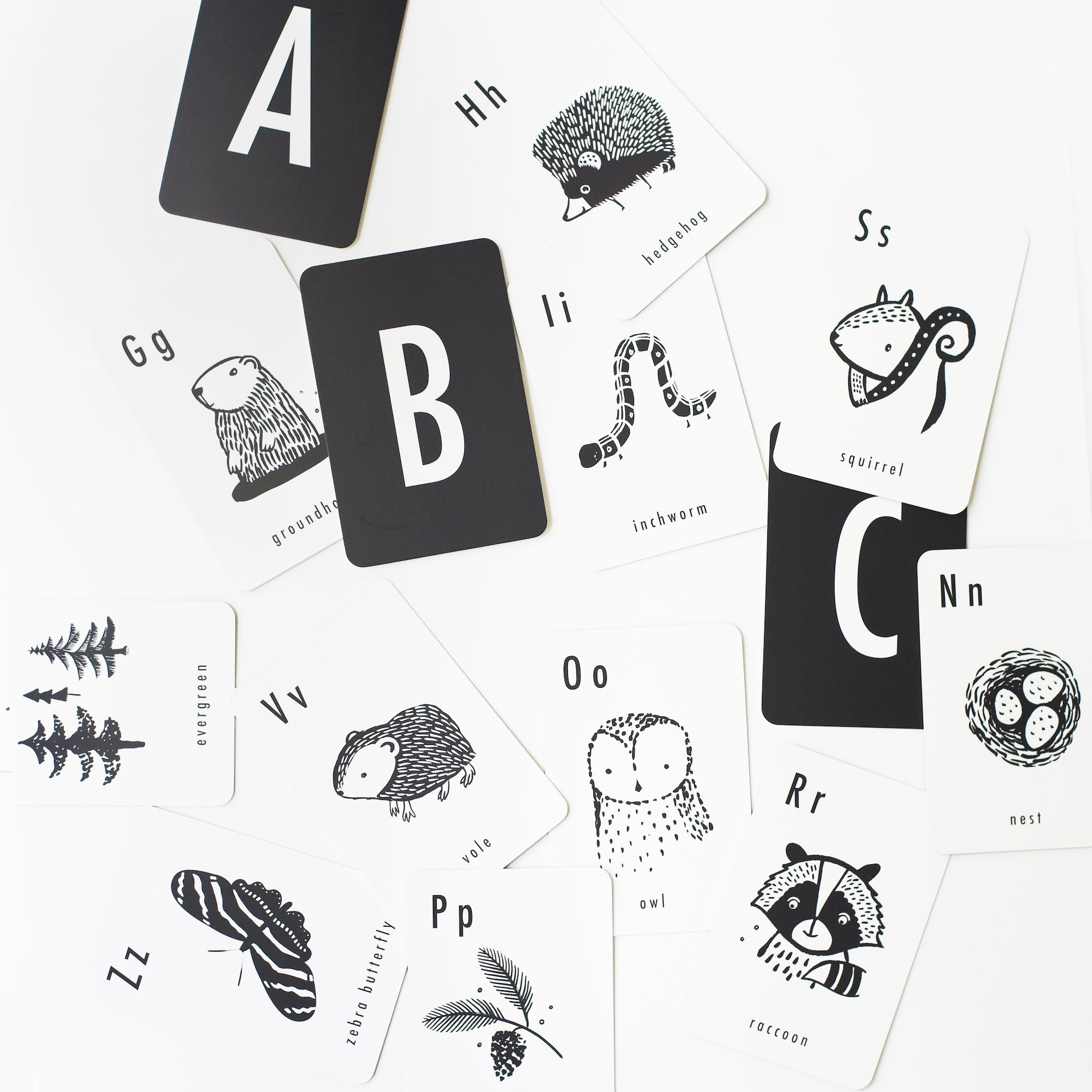 Woodland Alphabet Cards Wee Gallery   